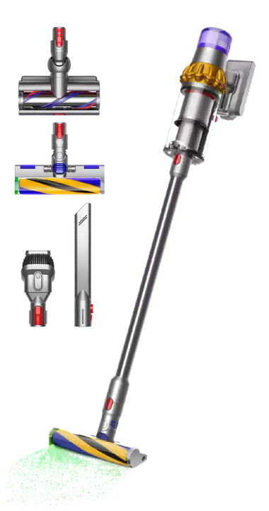 Aspirador V15 Detect Absolute