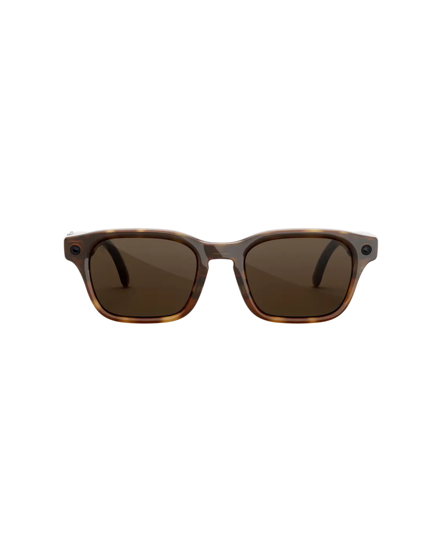 Gafas con IA Adventurer Tortoise