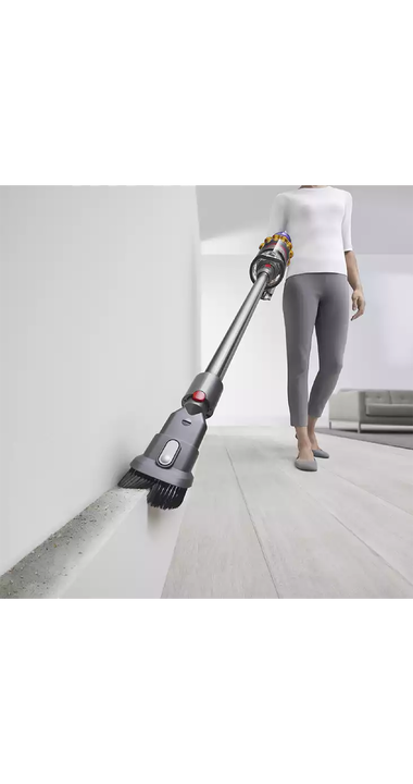 Aspirador V15 Detect Absolute