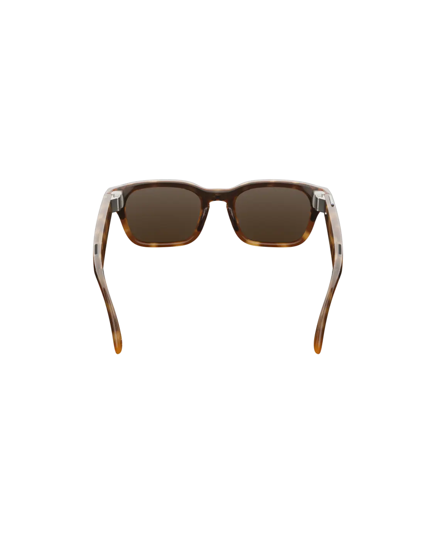 Gafas con IA Adventurer Tortoise, , large