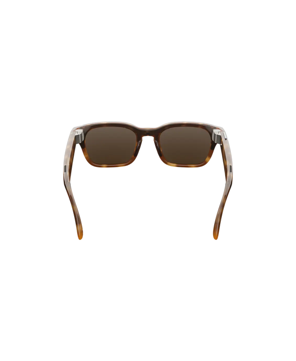 Gafas con IA Adventurer Tortoise marr&oacute;n