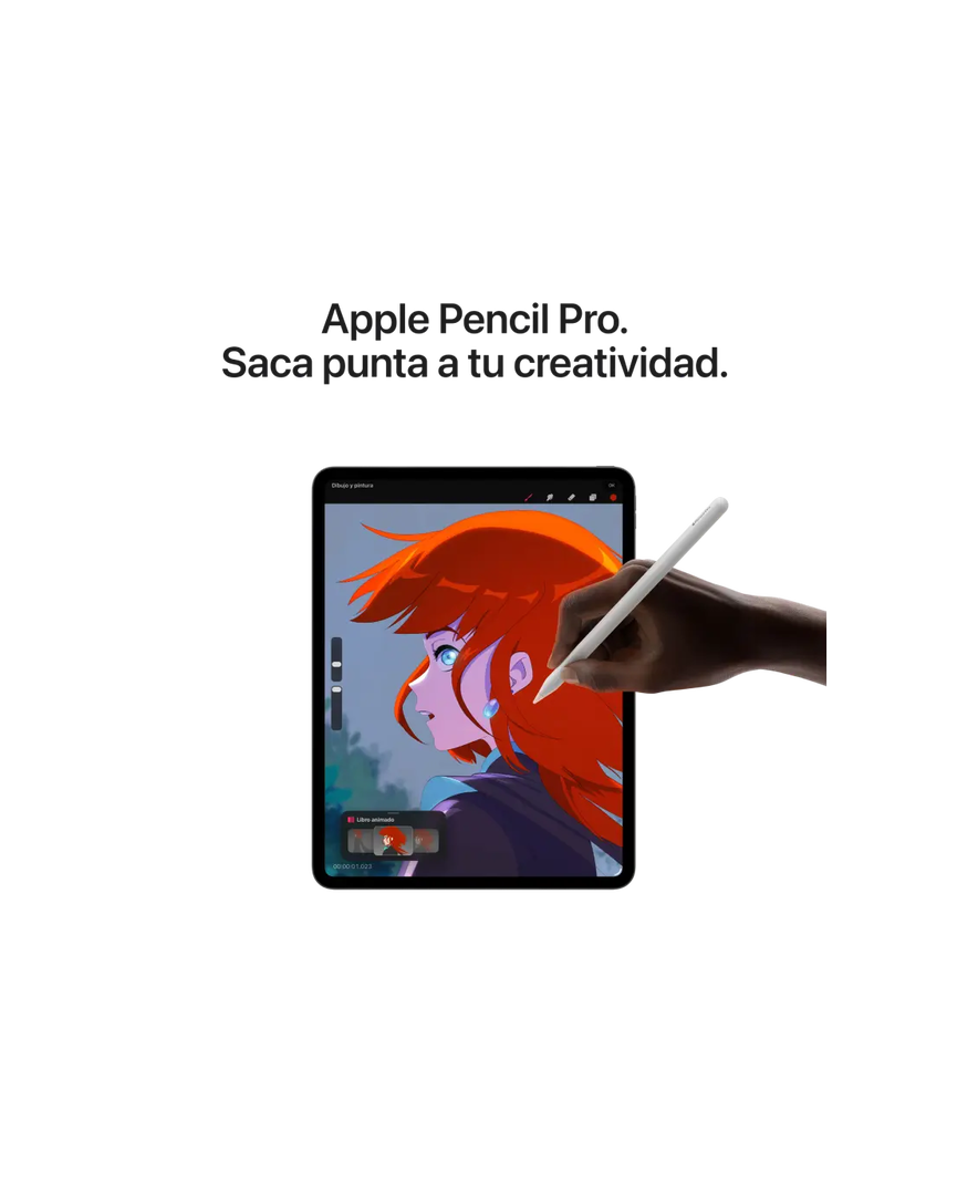 iPad Pro M5 11 256 GB Wifi