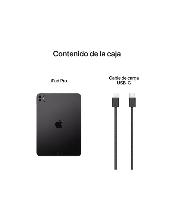 iPad Pro M5 11 256 GB Wifi