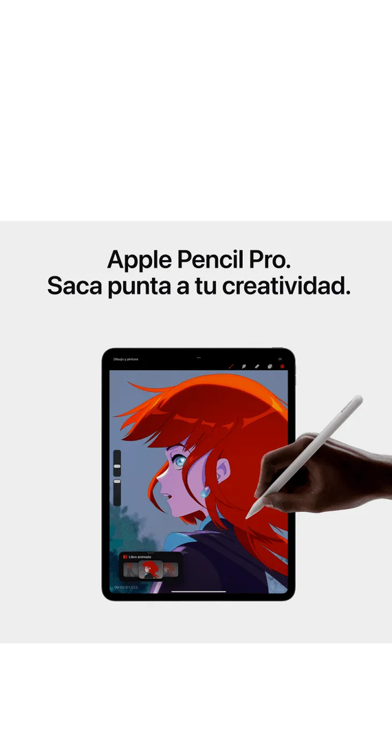 iPad Pro M4 11 256 GB Wifi Km0