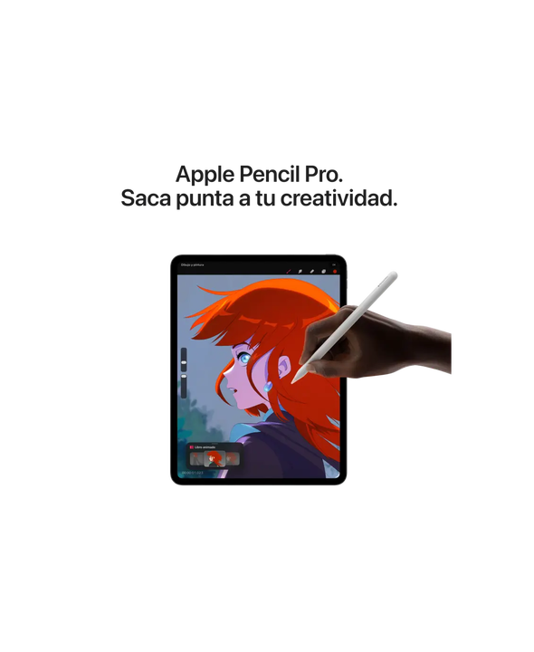 iPad Pro M5 11 256 GB Wifi Km0