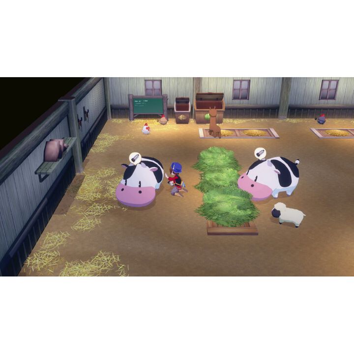 STORY OF SEASONS GRAND BAZAAR PARA NINTENDO SWITCH VERSI&Oacute;N ESPA&Ntilde;OLA