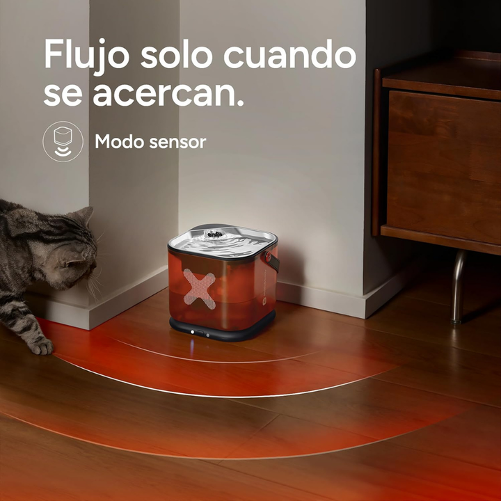 Molly&Cody Pack fuente de agua y comedero 6 L wifi con c&aacute;mara
