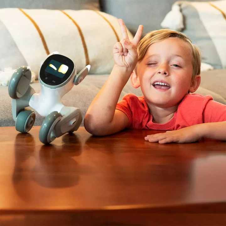 Loona Pet, el robot que te acompa&ntilde;a en tu d&iacute;a a d&iacute;a con IA