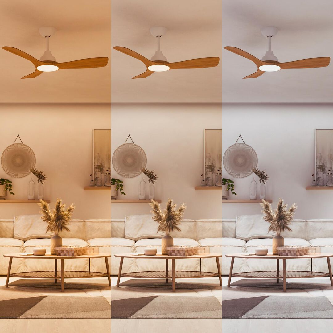 Ventilador de techo modelo Olas 42″ Negro / Madera 2025.

La lámpara ventilador de techo Philips LED combina luz blanca regulable personalizable con la comodidad de un ventilador de techo de aspas anchas para un flujo de aire abundante. Crea fácilmente el ambiente perfecto en cualquier espacio con los ajustes de luz SceneSwitch y el mando a distancia

Adecuado para habitaciones hasta 18 m².