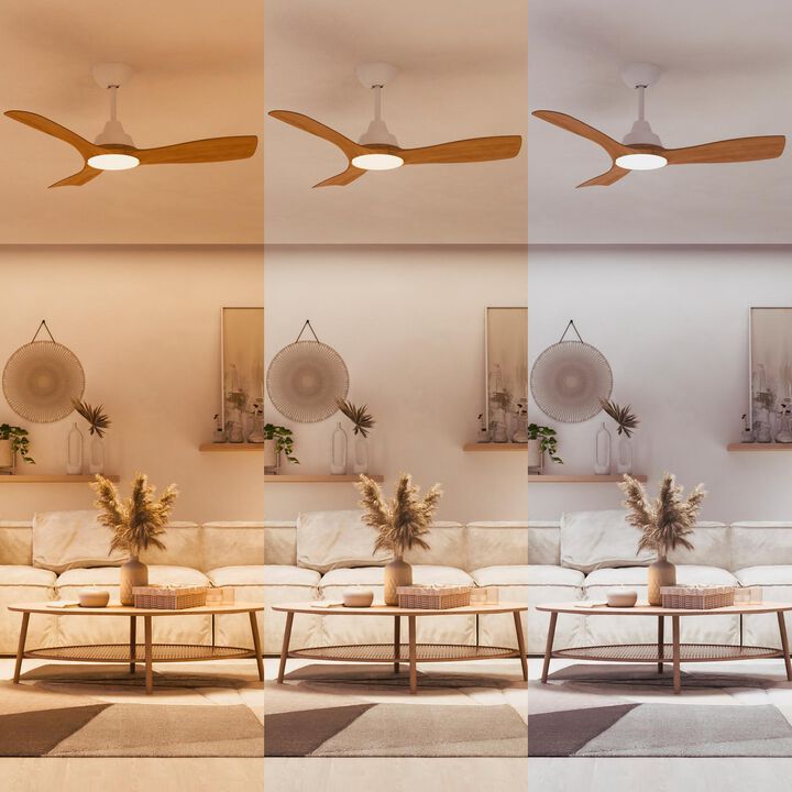 Ventilador de techo modelo Olas 42″ Negro / Madera 2025.

La lámpara ventilador de techo Philips LED combina luz blanca regulable personalizable con la comodidad de un ventilador de techo de aspas anchas para un flujo de aire abundante. Crea fácilmente el ambiente perfecto en cualquier espacio con los ajustes de luz SceneSwitch y el mando a distancia

Adecuado para habitaciones hasta 18 m².