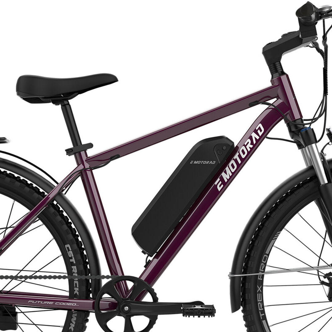 Bicicleta el&eacute;ctrica monta&ntilde;a 27,5" T-Rex Pro Morada