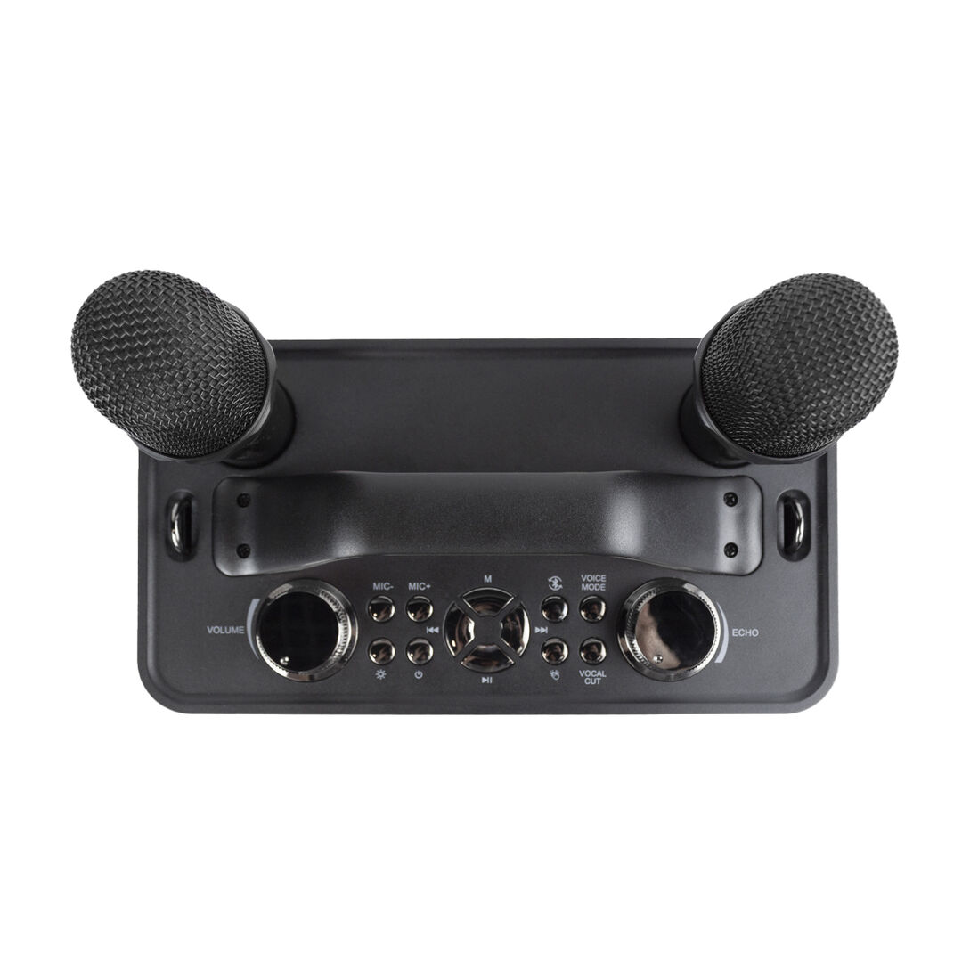 Karaoke Bluetooth PartyGO