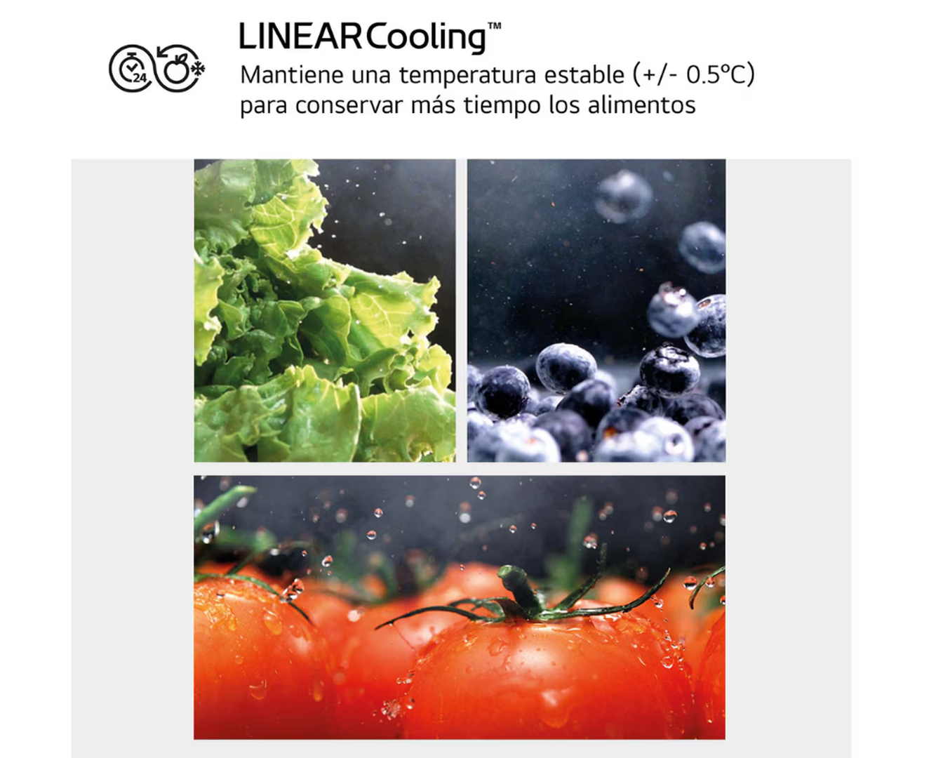 La soluci&oacute;n perfecta para tu oficina