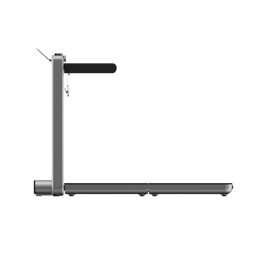 Cinta de correr plegable WalkingPad X214