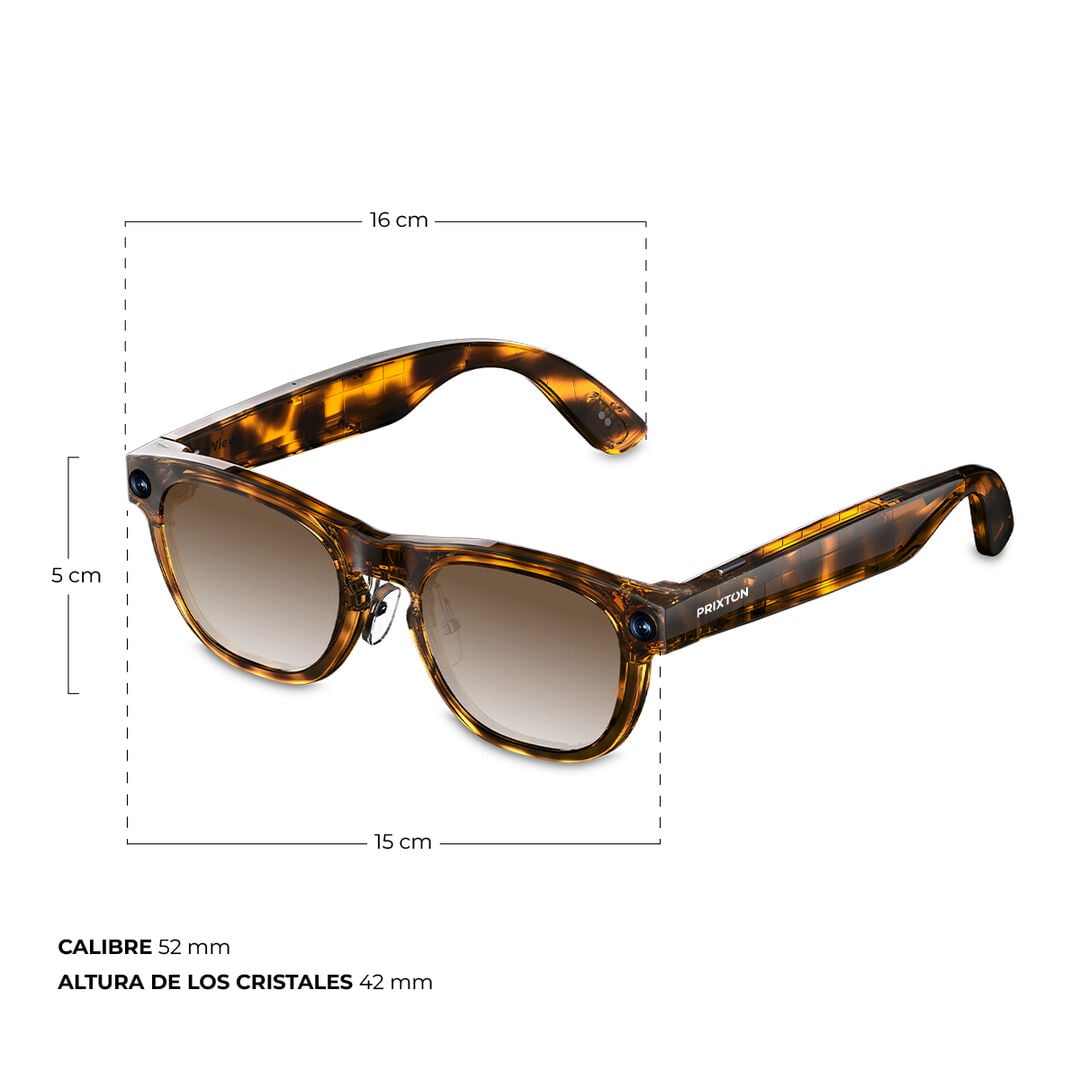Gafas con IA IRIS Carey