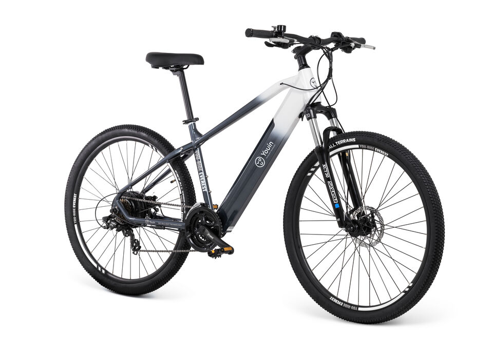 eBIKE  Everest2 29'' MTB - 14Ah/36V LG - Cambio 21V - talla M