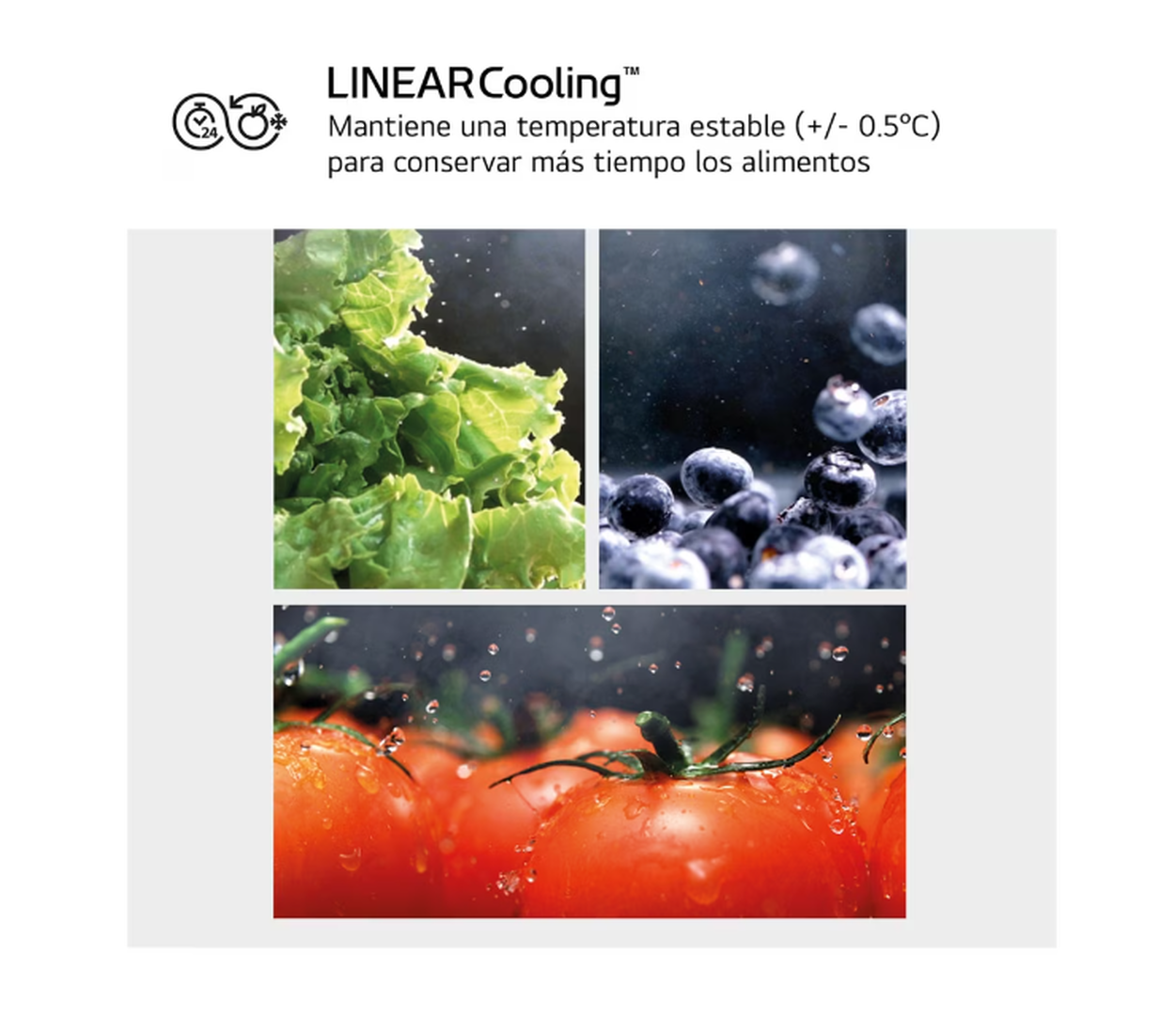 Frigor&iacute;fico Combi GBV5140CPY  Acero Inoxidable