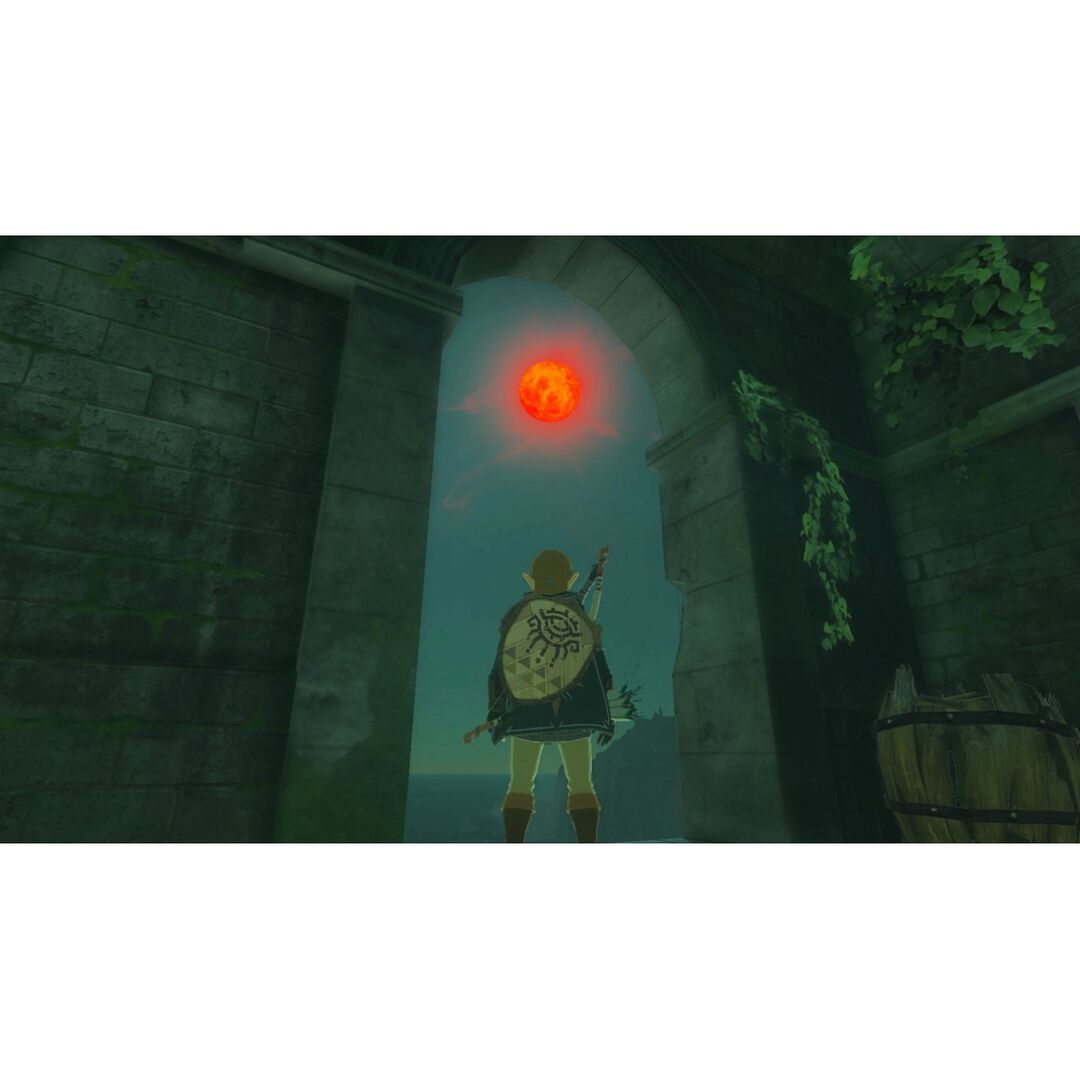 THE LEGEND OF ZELDA TEARS OF THE KINGDOM NINTENDO SWITCH VERSIÓN ESPAÑOLA

Te aguarda un épico viaje en el que recorrerás las tierras y los vastos cielos de Hyrule en The Legend of Zelda: Tears of the Kingdom para Nintendo Switch. Crea tu propia aventura en este mundo donde el límite es tu imaginación.

THE LEGEND OF ZELDA TEARS OF THE KINGDOM PARA NINTENDO SWITCH

En la secuela de The Legend of Zelda: Breath of the Wild, tú decidirás qué camino seguir a lo largo de los inmensos paisajes de Hyrule y las misteriosas islas que flotan allá arriba en el cielo. ¿Lograrás dominar el poder de las nuevas habilidades de Link y luchar contra las fuerzas malévolas que amenazan al reino?