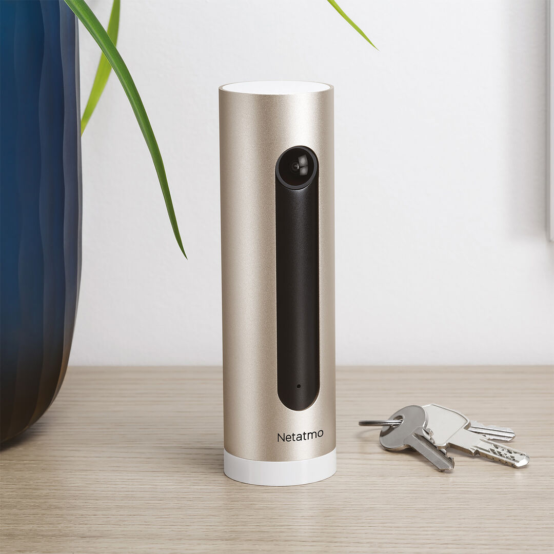 Gracias a su sistema de notificaciones inteligentes, tu cámara interior inteligente te envía a tu smartphone una alerta en tiempo real si se produce una intrusión en tu casa. Su tecnología de reconocimiento facial y su función de "Detección de mascotas" le permiten distinguir entre desconocidos, tus seres queridos y animales