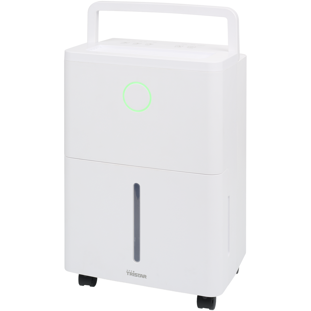 Deshumidificador 6L/d DH-5396