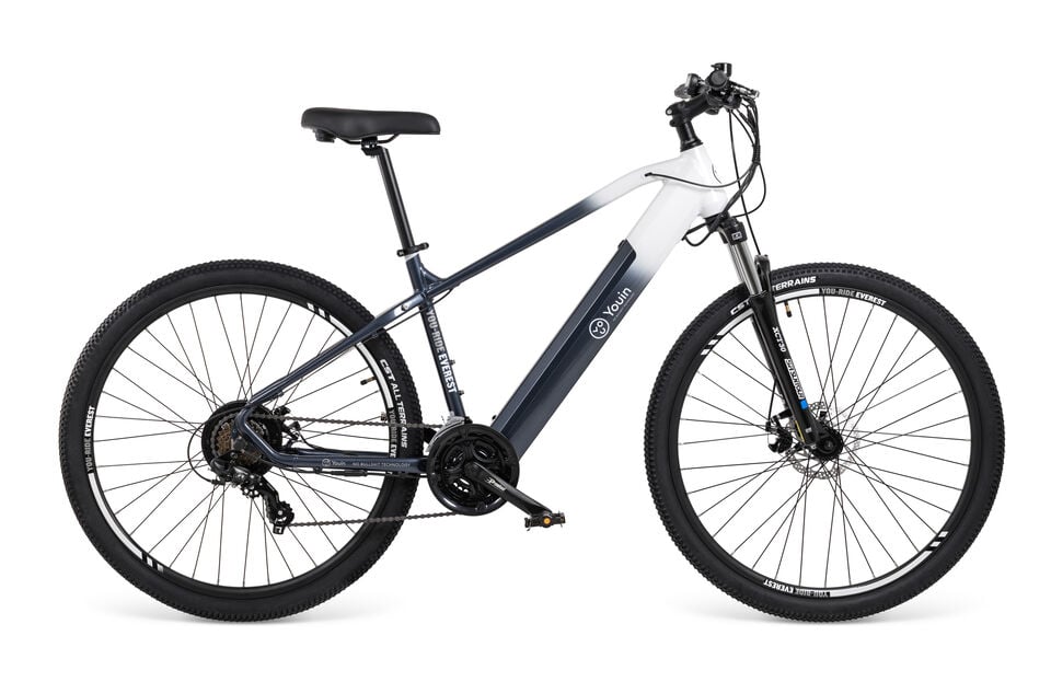 eBIKE  Everest2 29'' MTB - 14Ah/36V LG - Cambio 21V - talla M