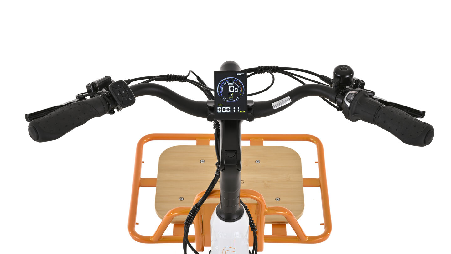Bicicleta el&eacute;ctrica cargo Berlin Pro