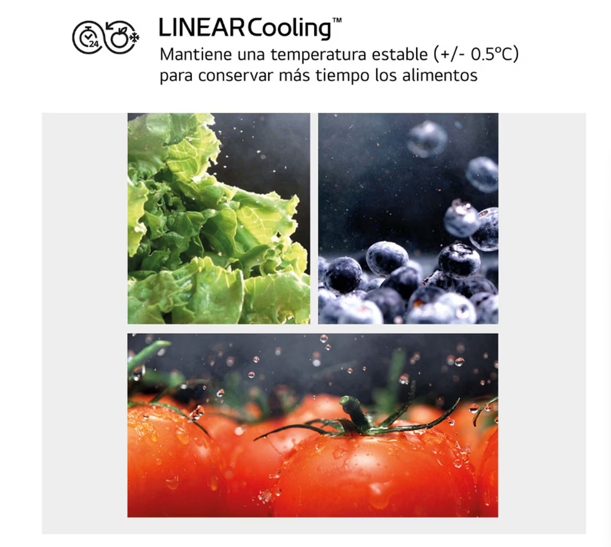 Frigor&iacute;fico Americano GMG960MBEE Acero Texturizado