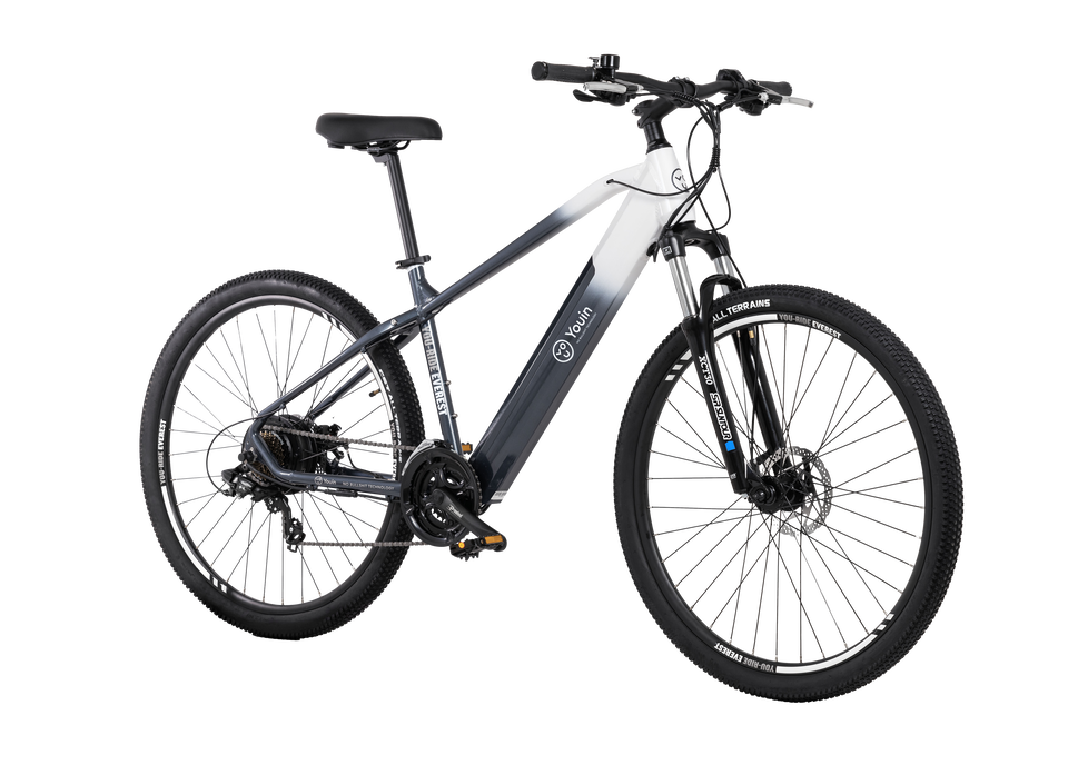 eBIKE  Everest2 29'' MTB - 14Ah/36V LG - Cambio 21V - talla M