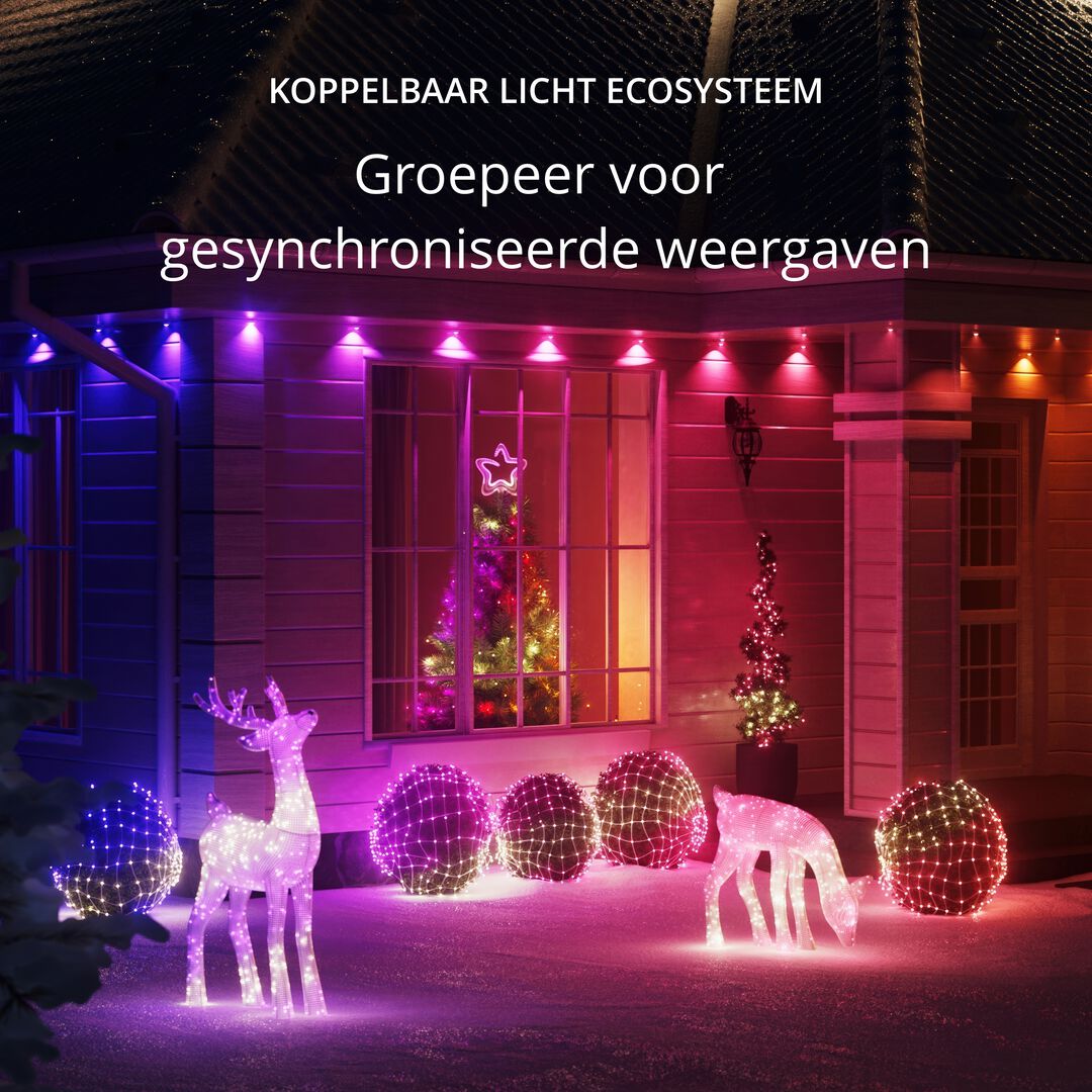 La elegante figura 3D completa una impresionante exhibici&oacute;n exterior y es un bello acento decorativo para tu hogar incluso durante el d&iacute;a. Certificada IP44 para uso exterior. Elige entre efectos y animaciones predefinidos o personaliza y dise&ntilde;a los tuyos usando una paleta de m&aacute;s de 16 millones de colores. 