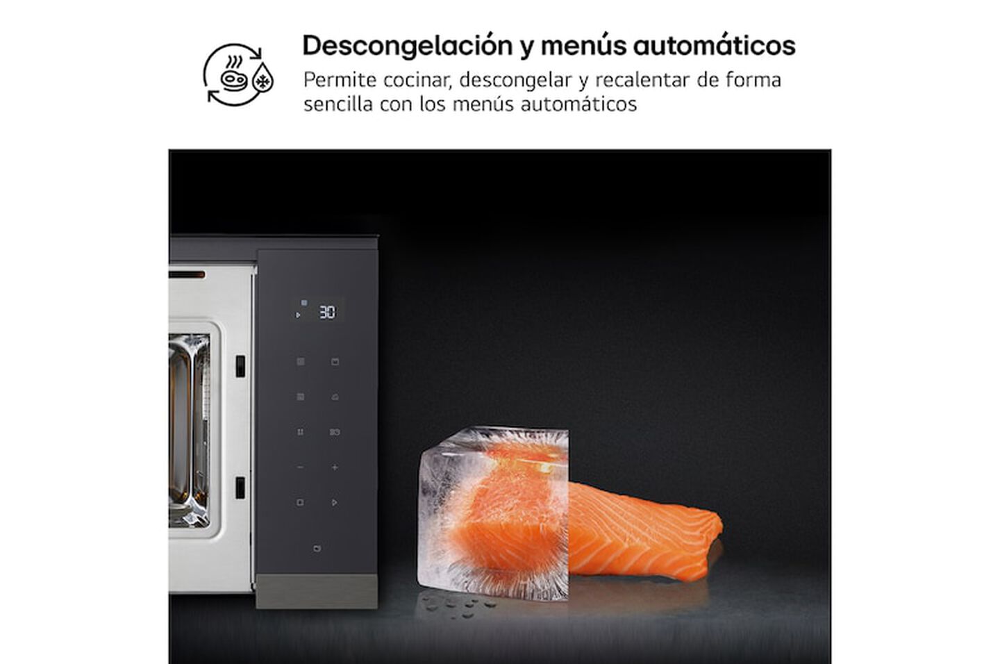 Microondas MG7Z2593B 25 L Negro