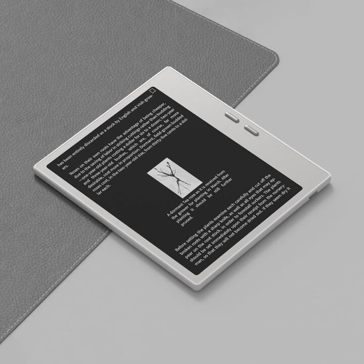 Ebook  ePaper 7" Go 7 (white)