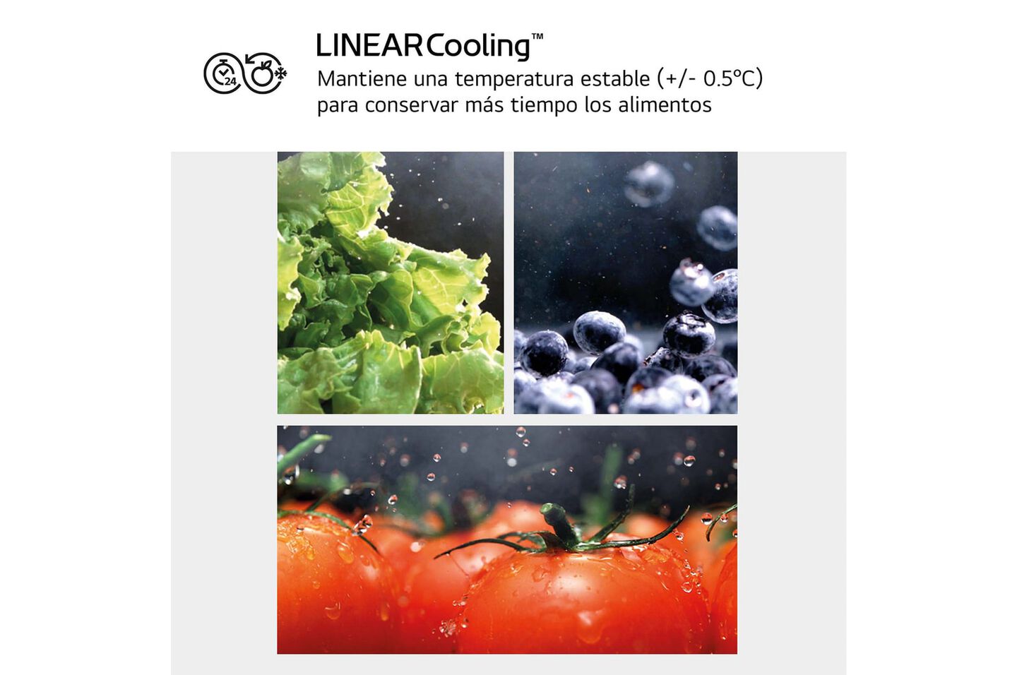 Descubre el frigorífico LG GBV3100EPY, un electrodoméstico diseñado para satisfacer tus necesidades de refrigeración de manera eficiente y elegante.