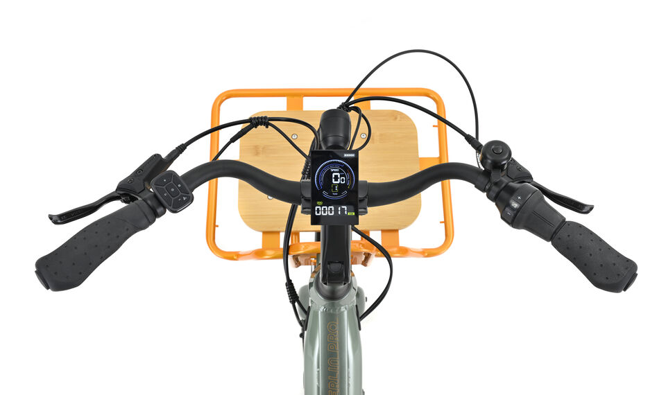 E-Bike CARGO Berlin PRO